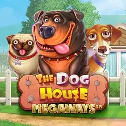 The Dog House Megaways gra w Dolly Casino dla graczy z Polski The Dog House Megaways gra w Dolly Casino dla graczy z Polski