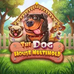 The Dog House Multihold gra w Dolly Casino dla graczy z Polski The Dog House Multihold gra w Dolly Casino dla graczy z Polski